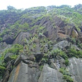 DSC01748_調整大小.JPG