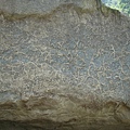 DSC01716_調整大小.JPG
