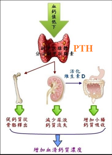 未命名.png