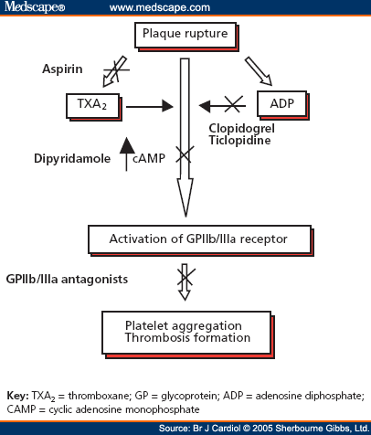 art-bjc502415.fig1.gif