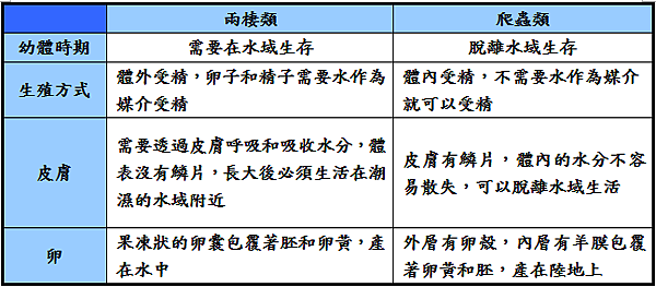 兩棲類跟爬蟲類的不同 Daddy Poppy S 藥學跟動物世界 痞客邦