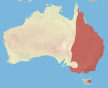 220px-Eastern_Grey_Kangaroo_Range.jpg