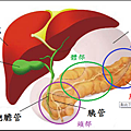 未命名.png