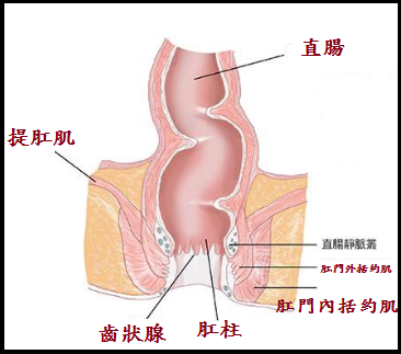 未命名.png