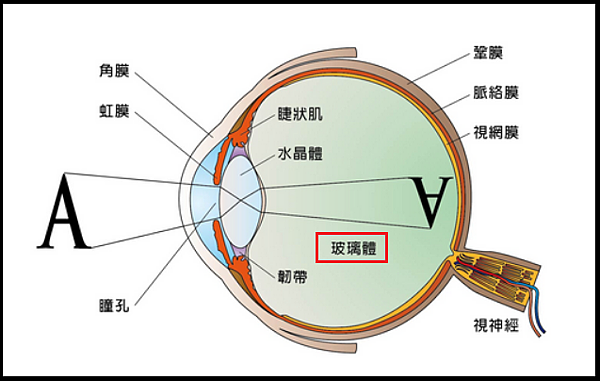 未命名.png