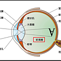 未命名.png