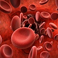 blood-cells.jpg
