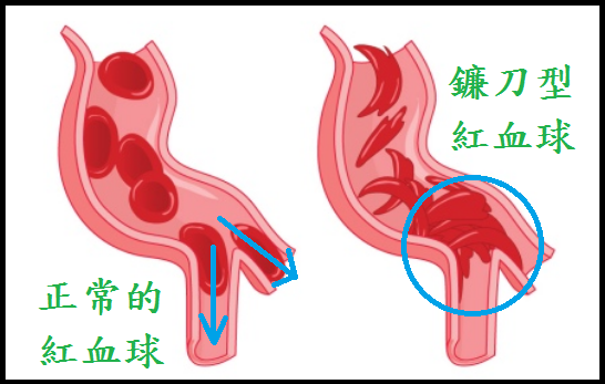 未命名.png