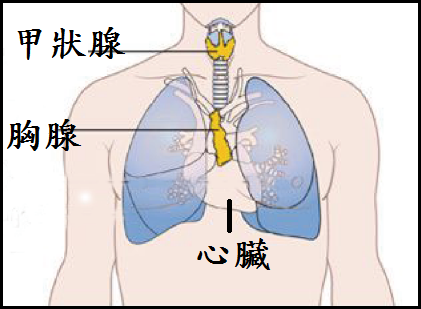 未命名.png