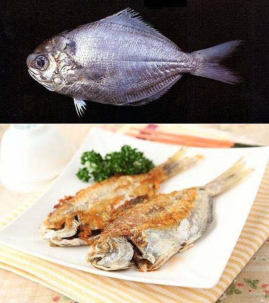 肉魚、肉鯽仔、土肉、刺鯧