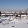 動物園全景