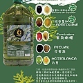 綠瓶5L橄欖介紹網頁.jpg