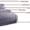 bed's names.JPG