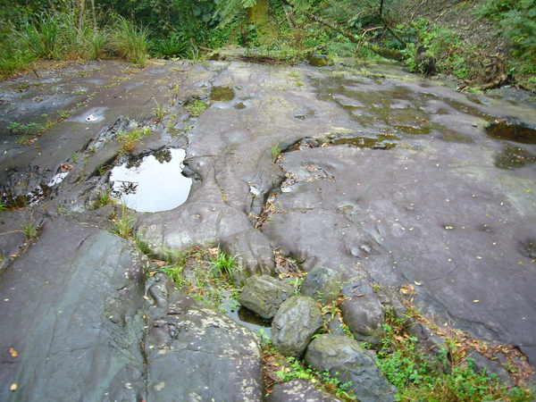 林美磐石步道 (21).JPG