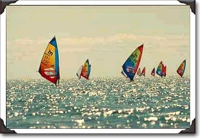 28Ontario%20Windsurfing%20Championships.jpg