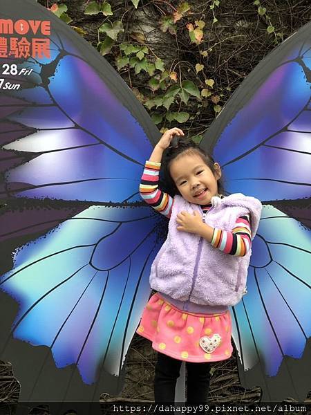 S__18112678.jpg S__18112678.jpg