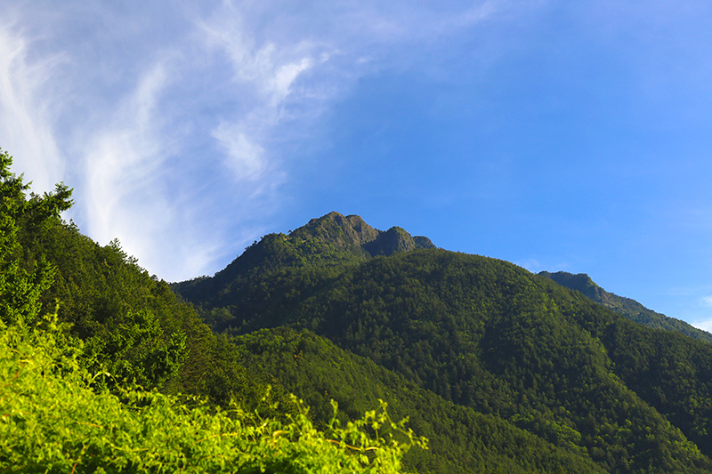 IMG_a5100.jpg IMG_a5100.jpg