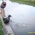 父親釣的鯉魚_03