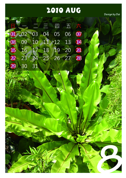 8月 8月