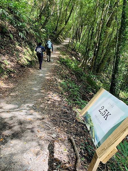 司馬庫斯步道2.5k