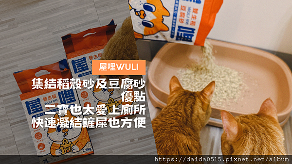 【毛孩大小事】幫毛寶貝替換廁所的耗材— 屋哩 Wuli 雙生