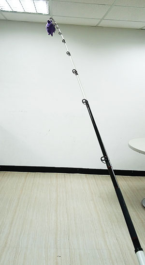 用娃娃測試魚竿腰力