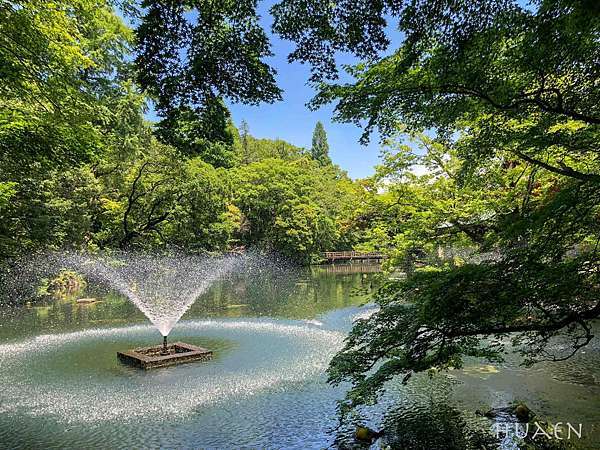 Jp 東京初夏與紫陽花 吉祥寺 井之頭恩賜公園 宮前平源泉湯けむりの庄 Huaen Fly To The World 痞客邦