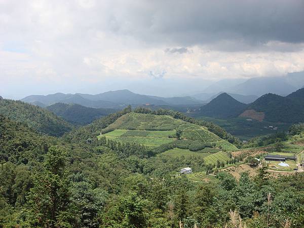 魚池分場貓囒山視野