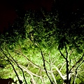 大稻埕-5.jpg