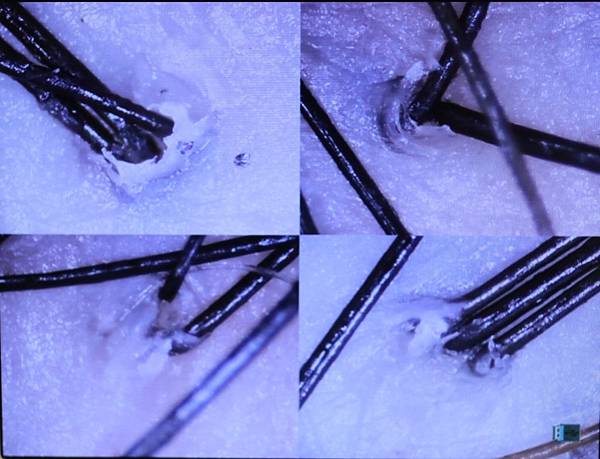 B1FB39DA-484C-433D-8D67-1CAFC369206F.jpeg B1FB39DA-484C-433D-8D67-1CAFC369206F.jpeg