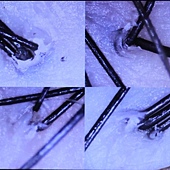 B1FB39DA-484C-433D-8D67-1CAFC369206F.jpeg B1FB39DA-484C-433D-8D67-1CAFC369206F.jpeg