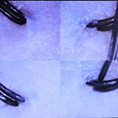 38C57117-58C9-46EF-AA9C-6CB07444EC56.jpeg 38C57117-58C9-46EF-AA9C-6CB07444EC56.jpeg