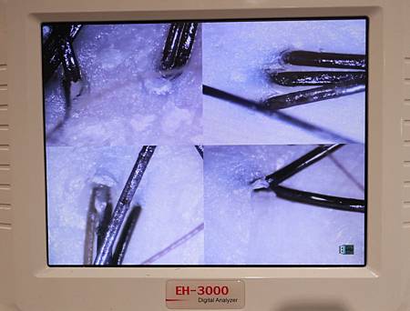 C6D16DE1-A629-4321-ABF0-FCE6A4EEE688.jpeg C6D16DE1-A629-4321-ABF0-FCE6A4EEE688.jpeg