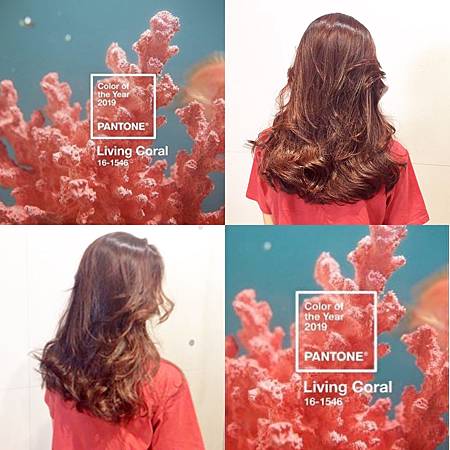 6D13CF25-FCEE-4247-A43A-92CAEFCEEA8A