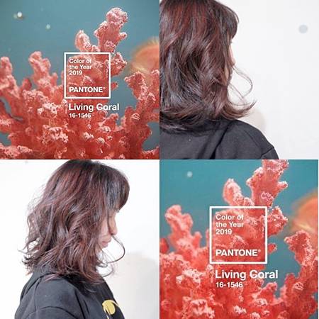 E61CE05E-E43F-4923-B871-F6CB6609B6BA