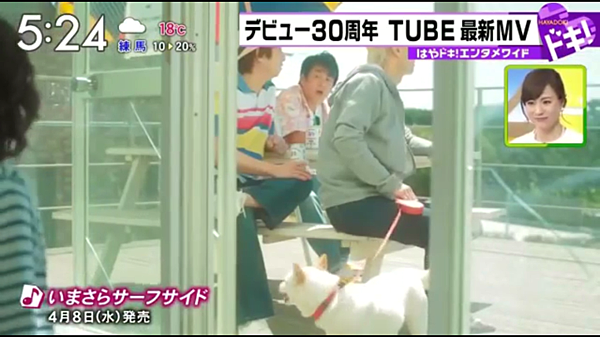 [TV] TUBE『いまさらサーフサイド』MV解禁