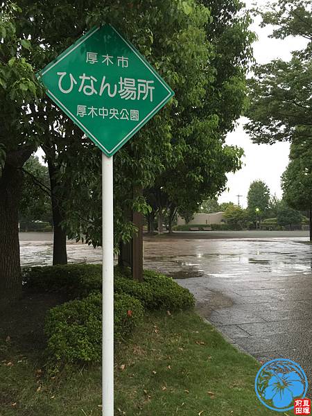 IMG_1604.JPG IMG_1604.JPG