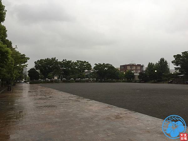 IMG_1606.JPG IMG_1606.JPG