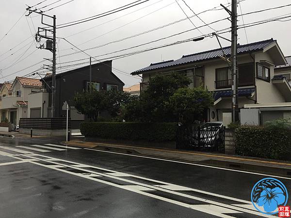 IMG_1609.JPG IMG_1609.JPG