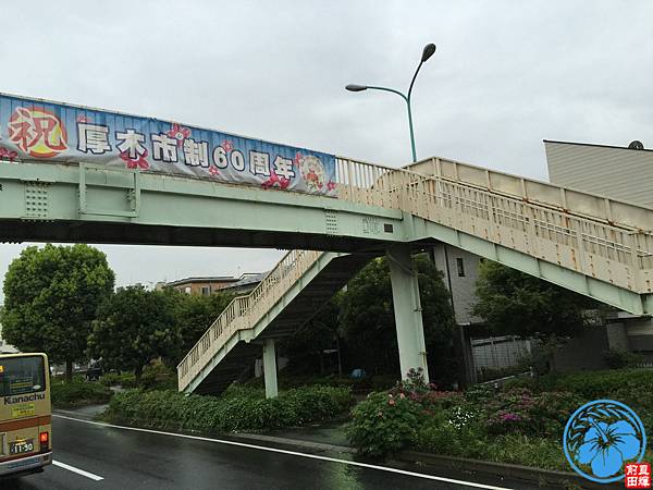 IMG_1611.JPG IMG_1611.JPG