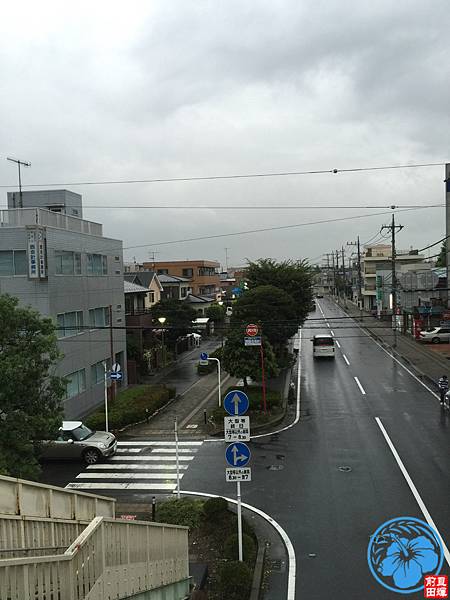 IMG_1612.JPG IMG_1612.JPG