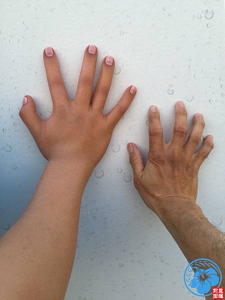 IMG_4459.jpg IMG_4459.jpg