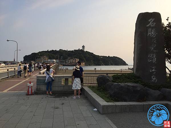 IMG_4490.jpg IMG_4490.jpg