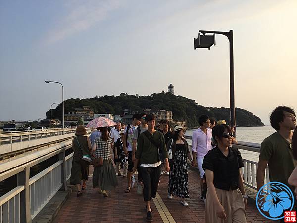 IMG_4491.jpg IMG_4491.jpg