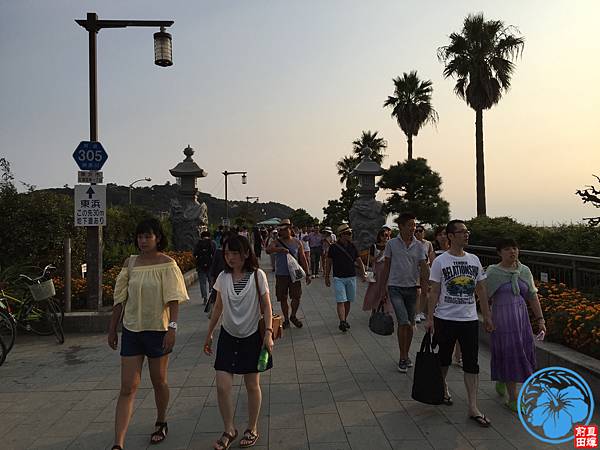 IMG_4488.jpg IMG_4488.jpg