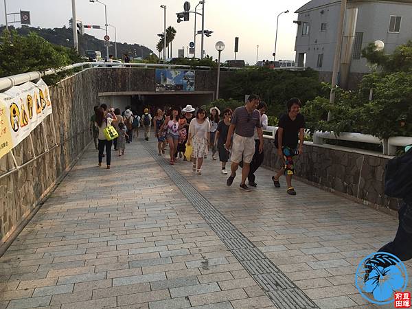 IMG_4486.jpg IMG_4486.jpg