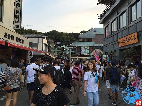 IMG_4492.jpg IMG_4492.jpg