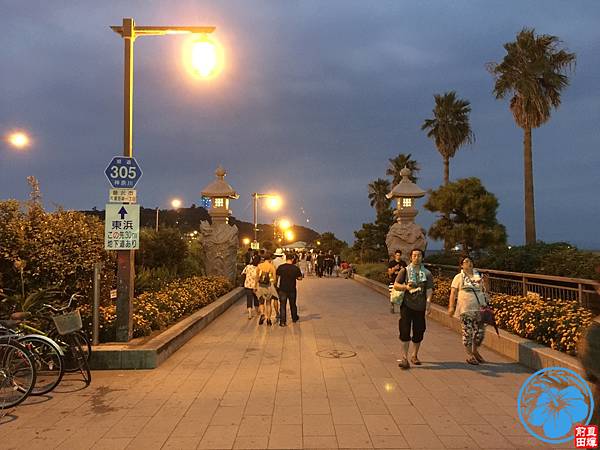 IMG_4594.jpg IMG_4594.jpg