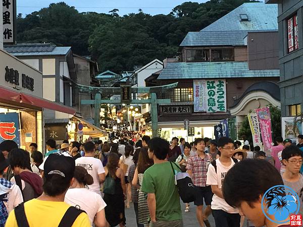 IMG_4587.jpg IMG_4587.jpg