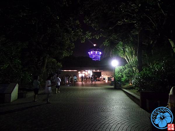 SAM_1476.JPG SAM_1476.JPG